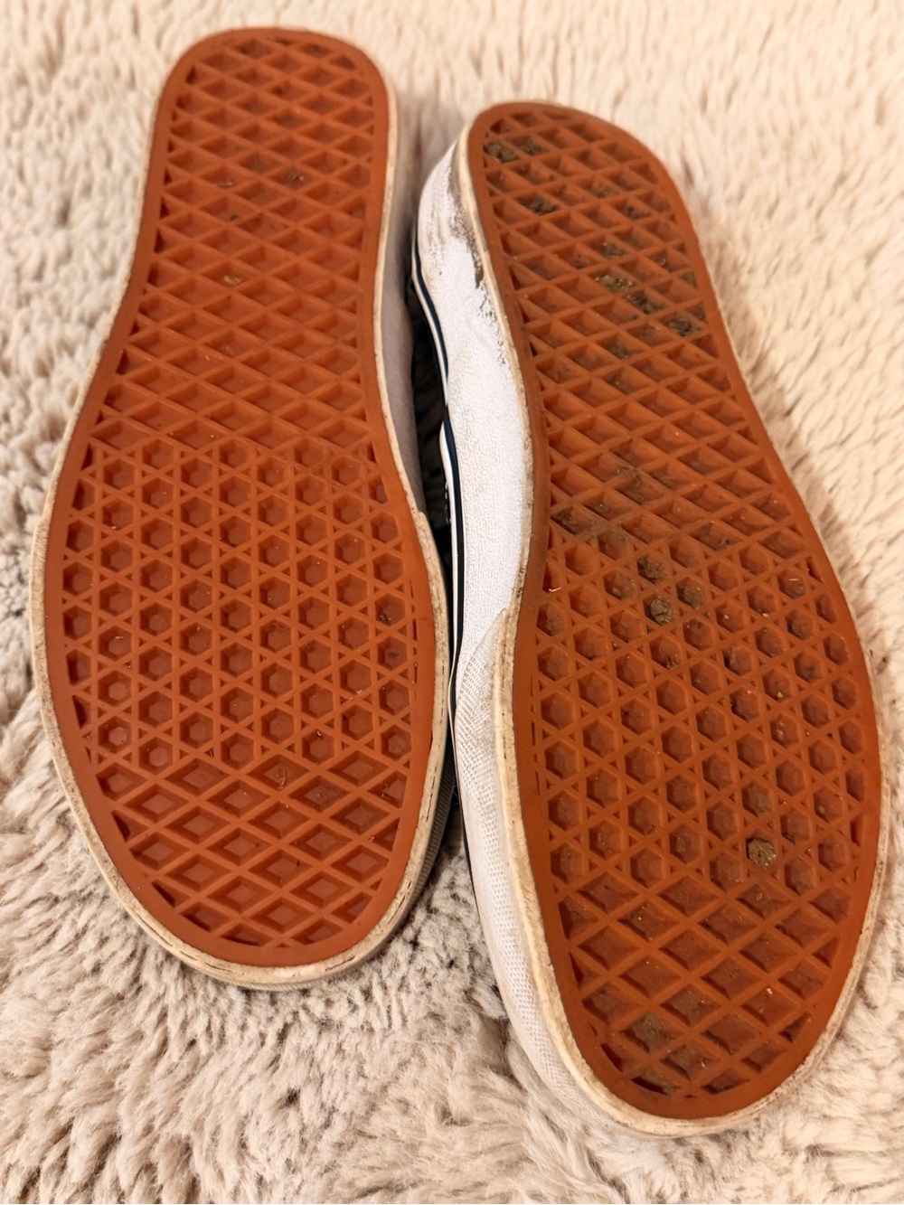 Vans - Picture 7 of 7
